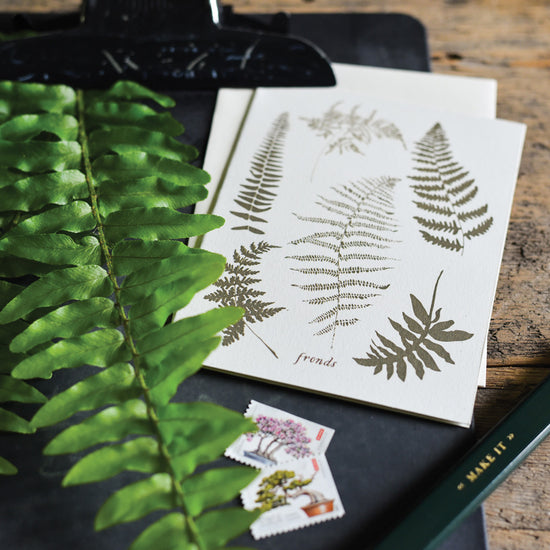 Fern Fronds Wild Pretties Boxed Everyday Note Cards Stationery Set