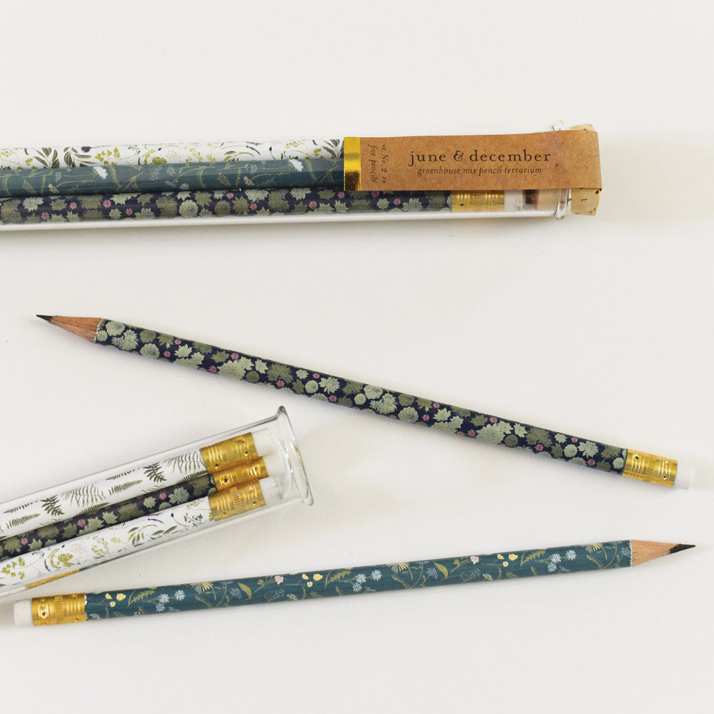 Greenhouse Mix Terrarium Pencils with Botanical Propagation Test Tubes