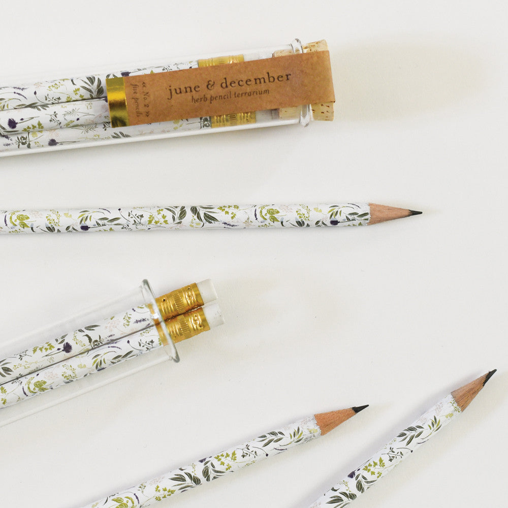 Herb Terrarium Pencils with Botanical Propagation Test Tubes