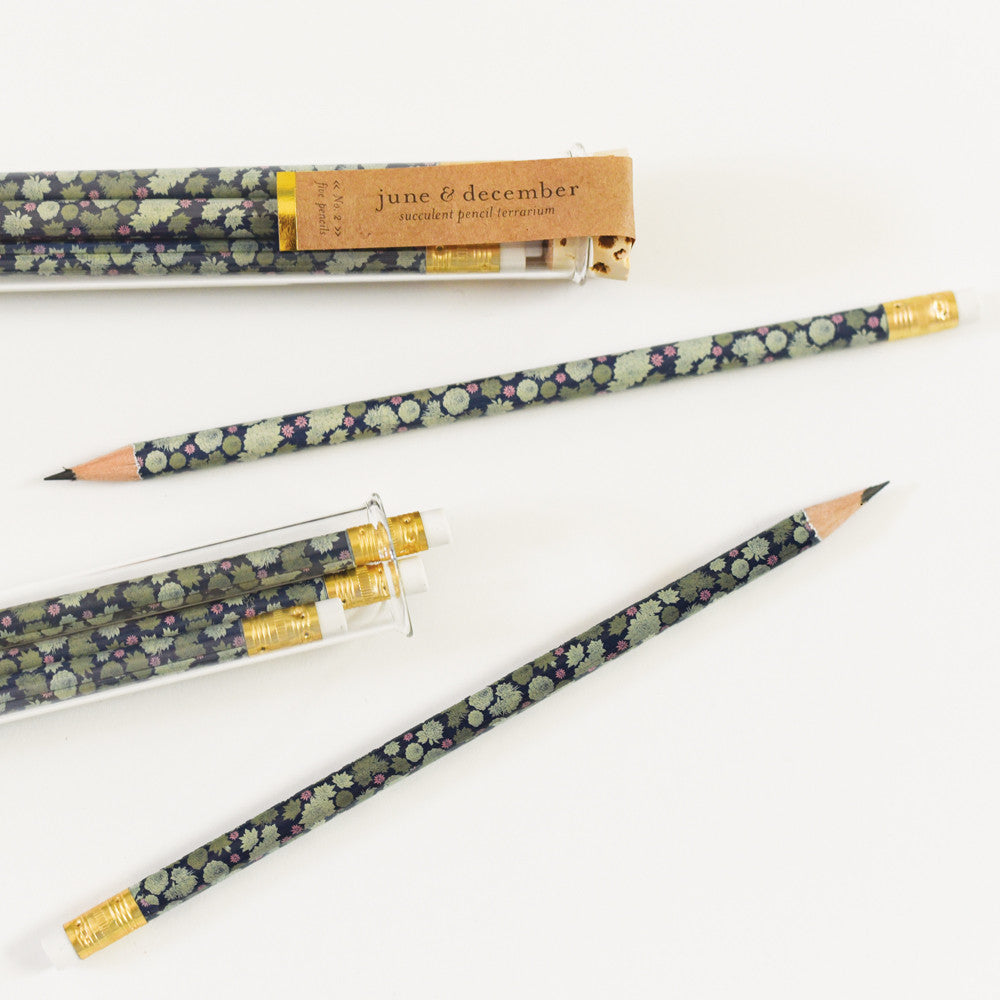 Succulent Terrarium Pencils with Botanical Propagation Test Tubes