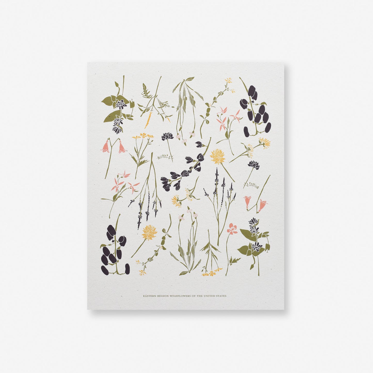 Eastern Wildflowers Art Print