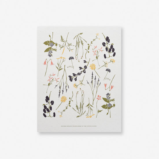 Eastern Wildflowers Art Print