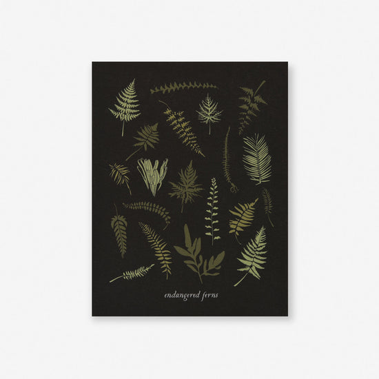 Endangered Ferns Art Print