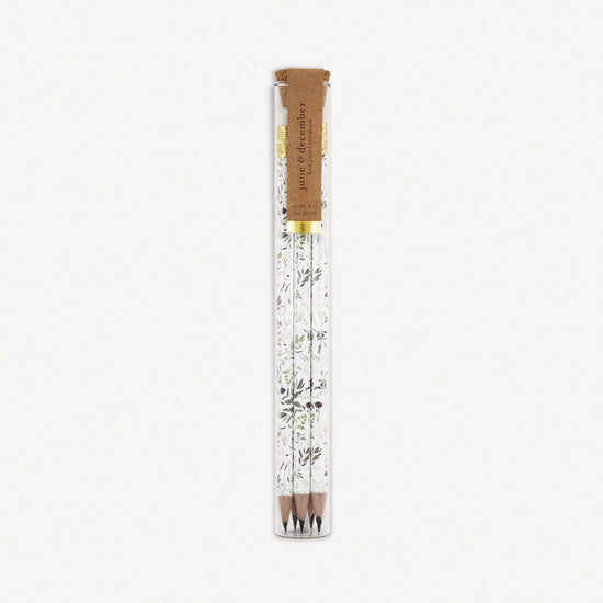 Herb Pencil Terrarium
