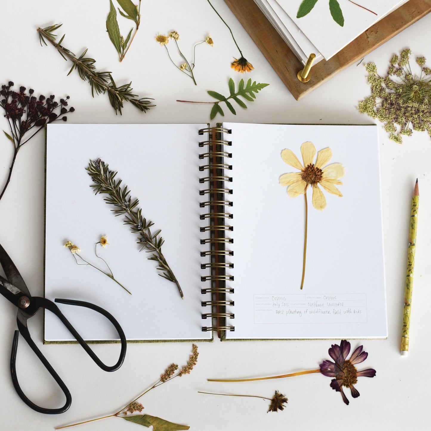 Herbarium Journal for Pressed Flowers and Specimens