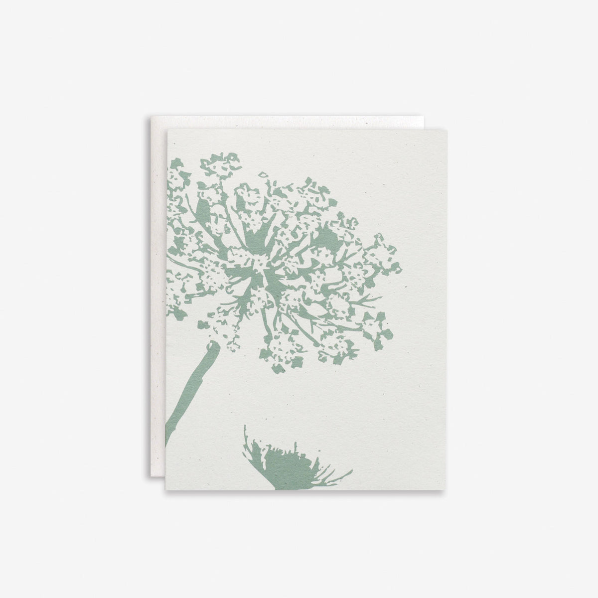 Queen Anne's Lace Wildflower Letterpress Card – Green Bird Press