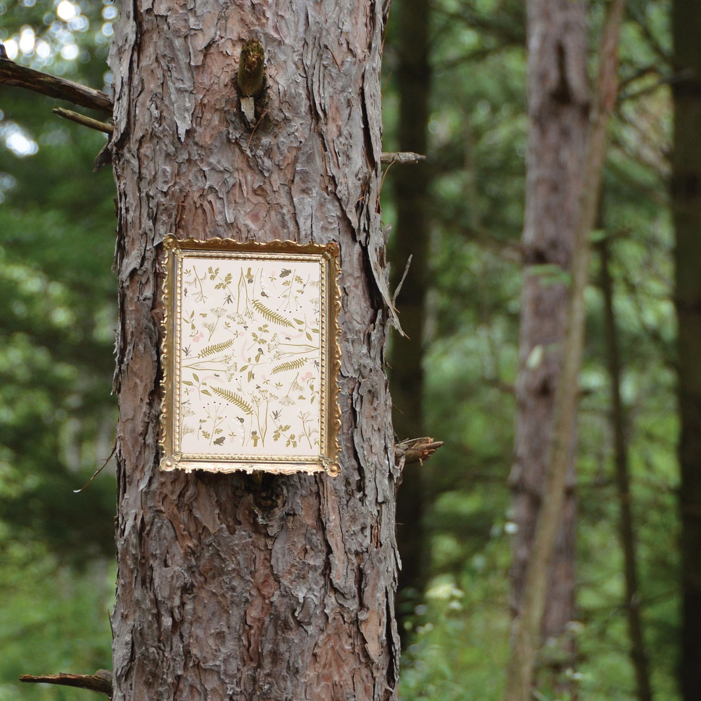 Recycled Bug Garden 8x10 decorative art print with original botanical artwork set upon a tree in the forest by June & December artist Katie Forte