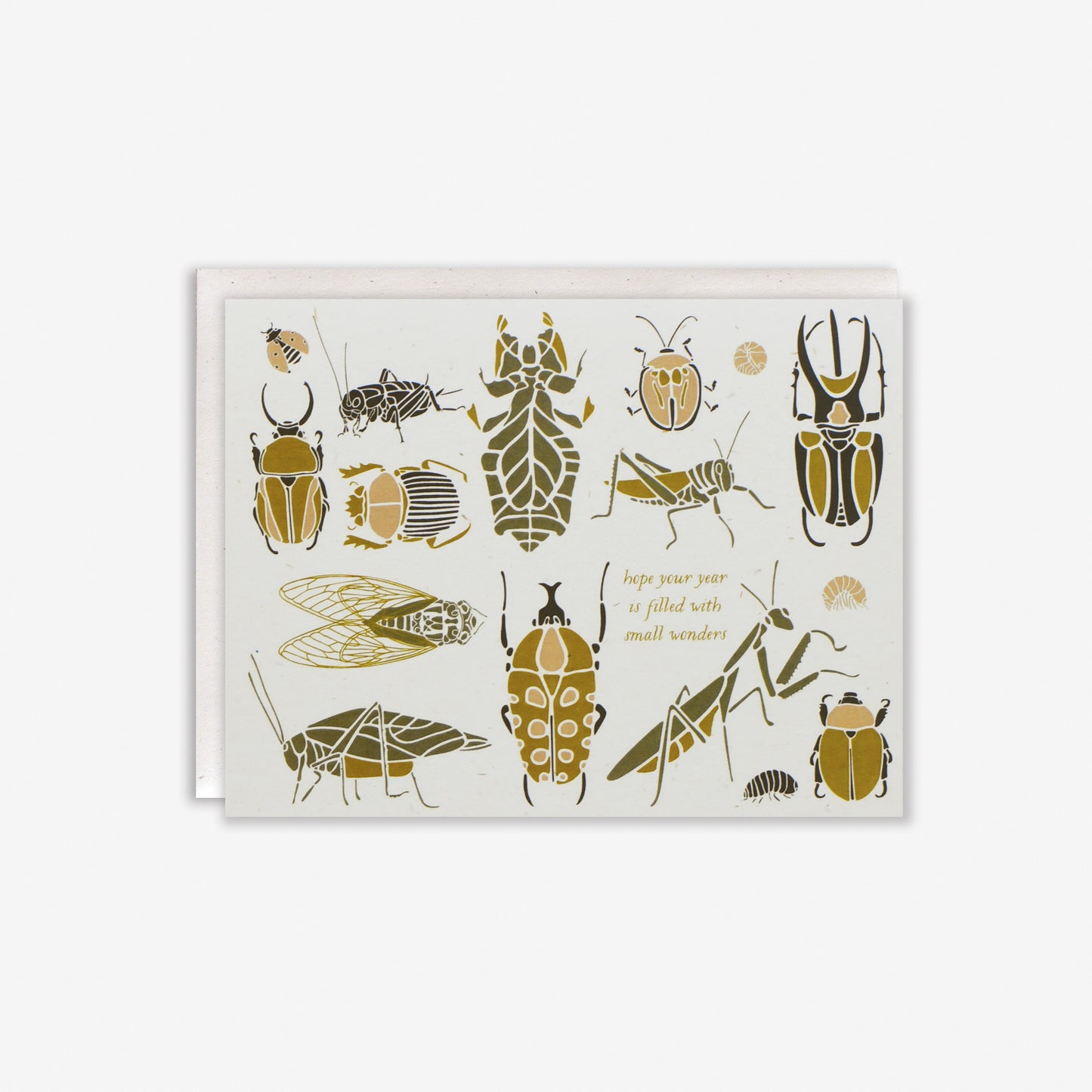 Recycled Small Wonders Bug + Insect Card with botanical illustration by June & December artist Katie Forte
