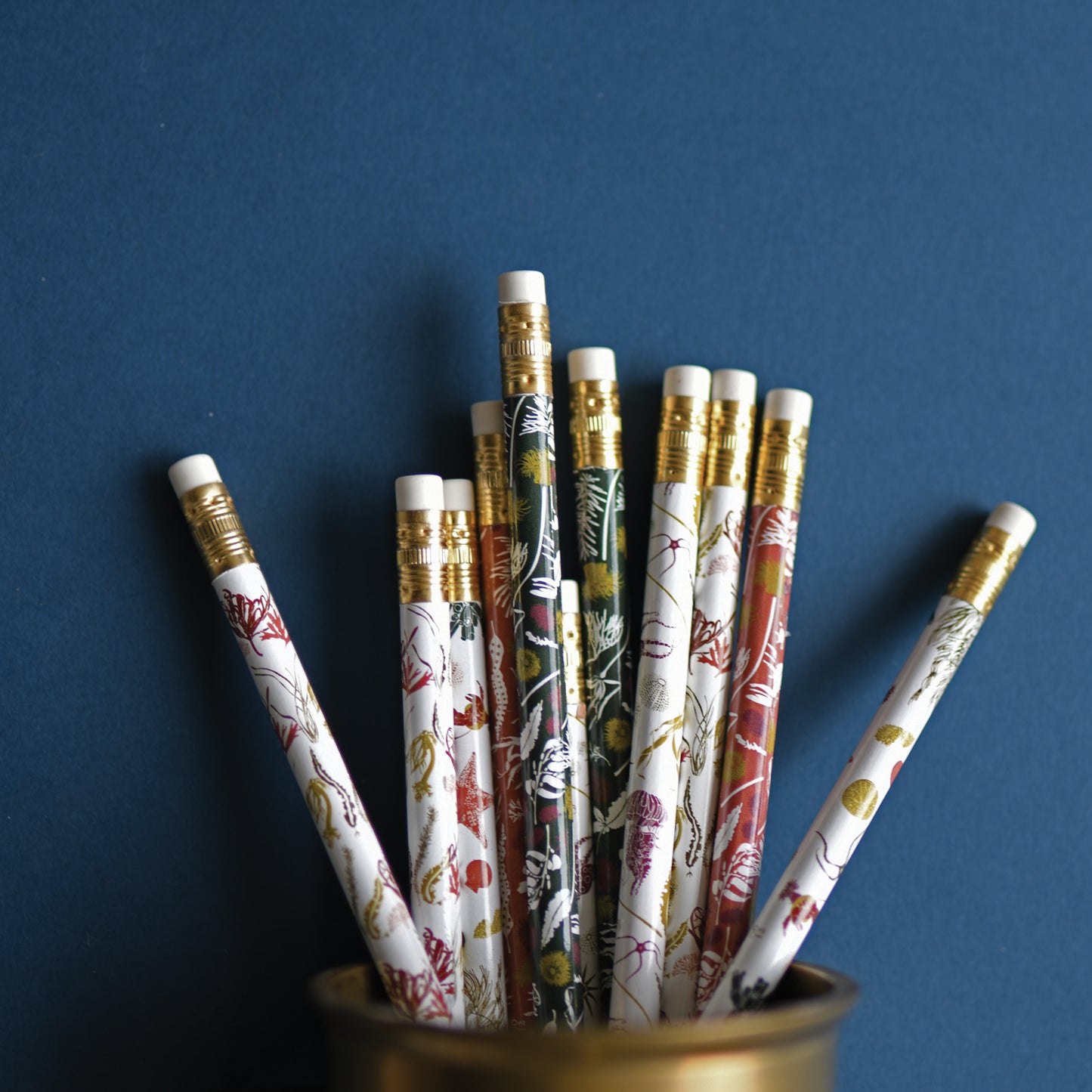 Pencil set in a container made in the usa with botanical Seaweeds artwork with ocean elements by june & december artist katie forte