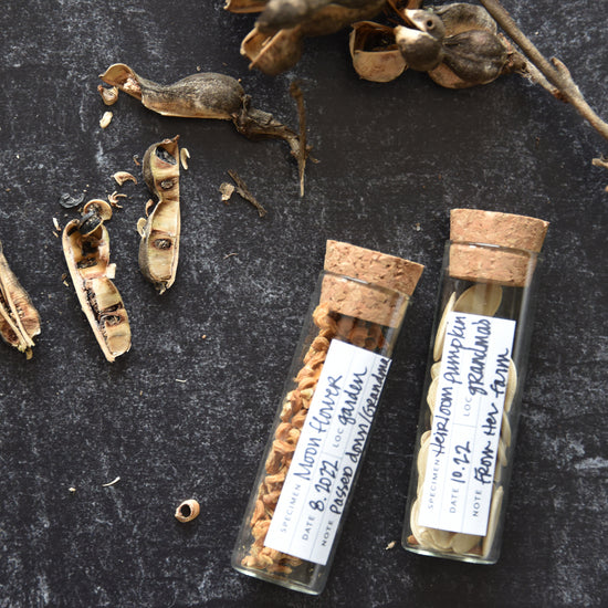 Seed Collection Project Label Seed Collecting Kit | Heirloom Garden Seed Saving Kit – June & December