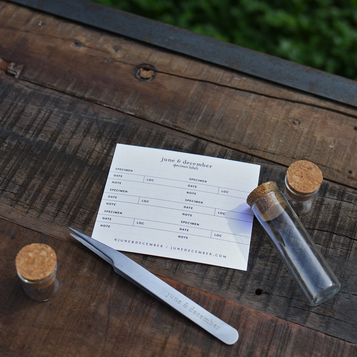 Botanic Sample Collection Journal Herbarium Journals | Recycled Pressed Floral Journal s – June & December