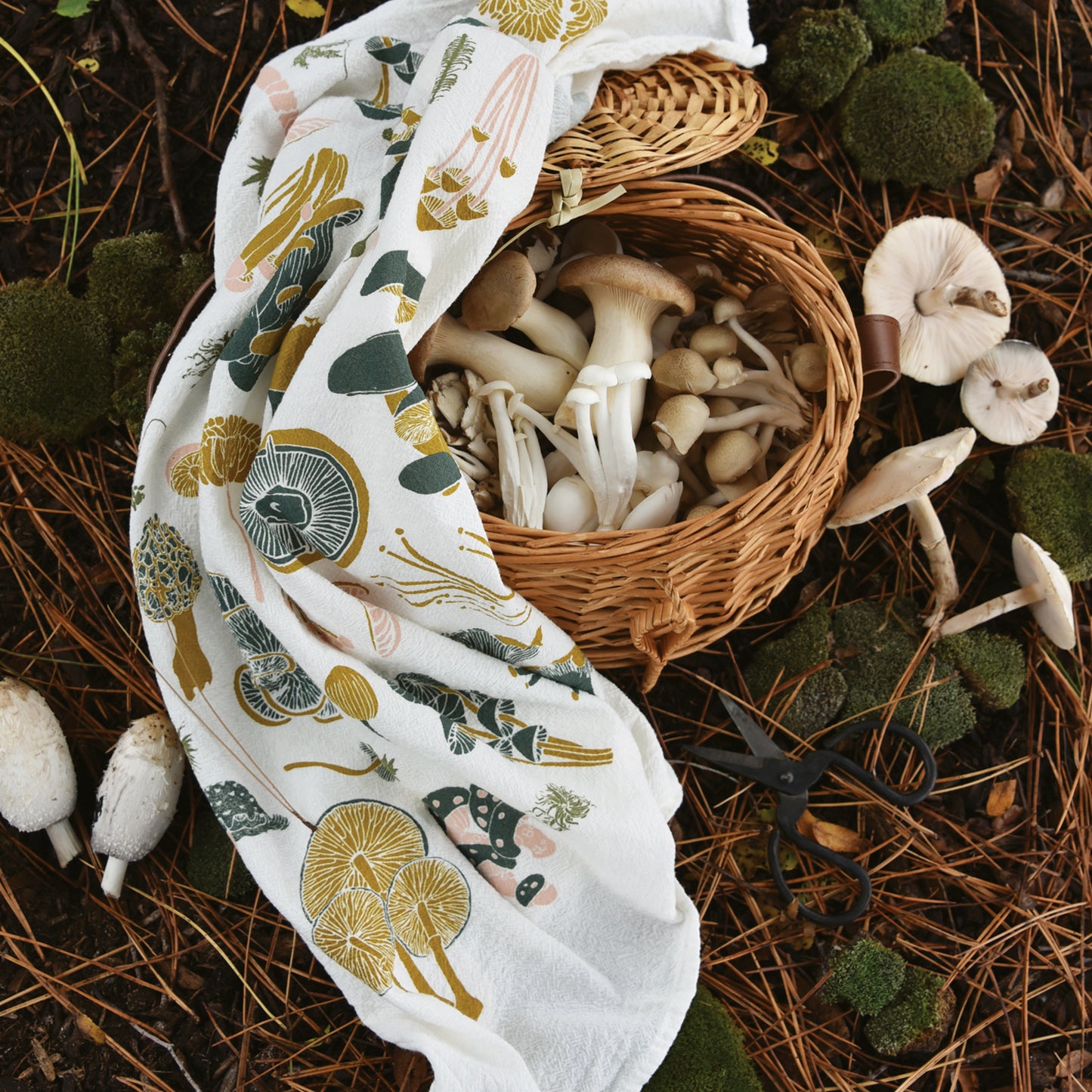 Kitchen tea towel with Mosses & Mushrooms design perfect for the forager, designed by katie forte of june & december