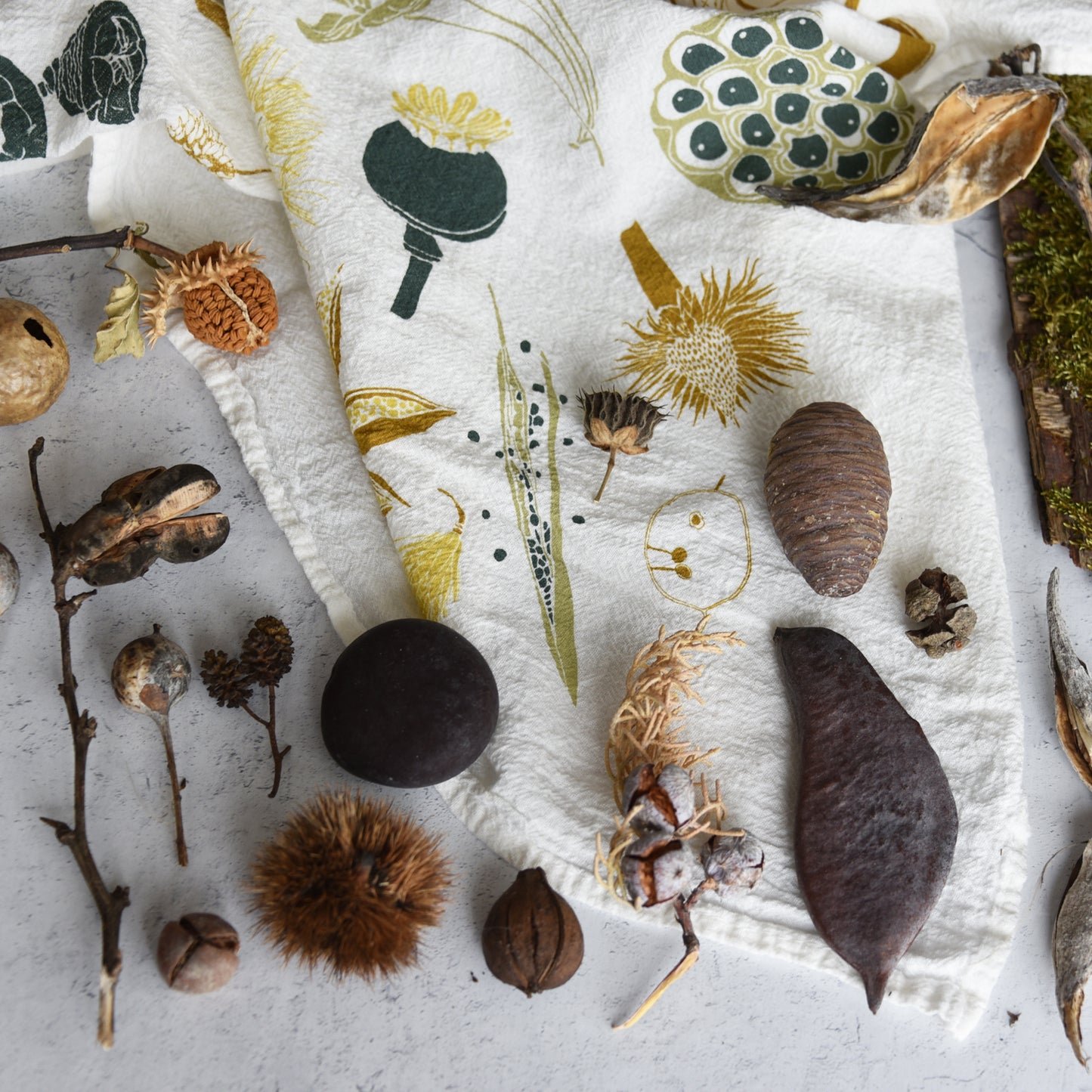 Kitchen tea towel featuring various Seed Pods for the pollinator type home, designed by Katie Forte of june & december