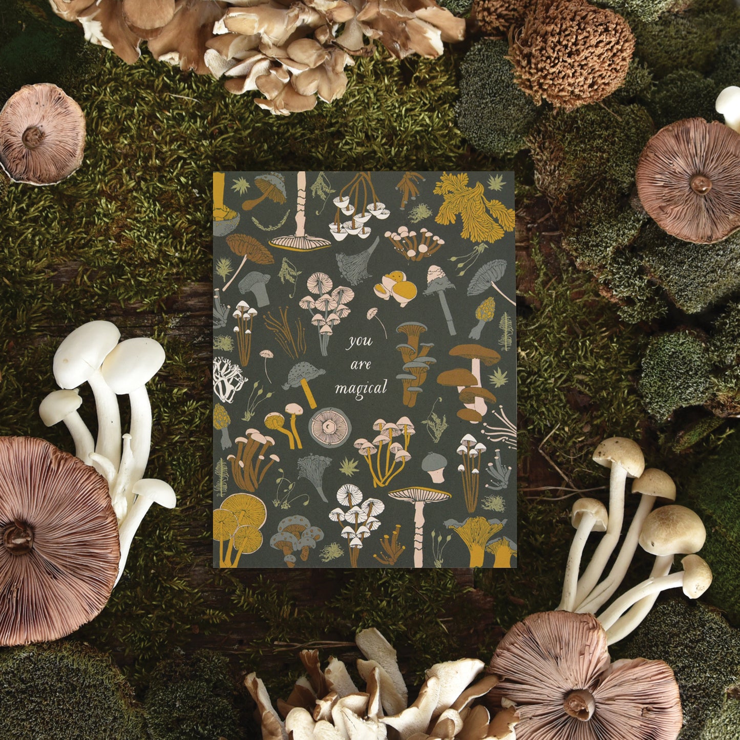 Sustainable greeting card featuring various mushroom designs for that Magical person in your life, designed by katie forte of june & december