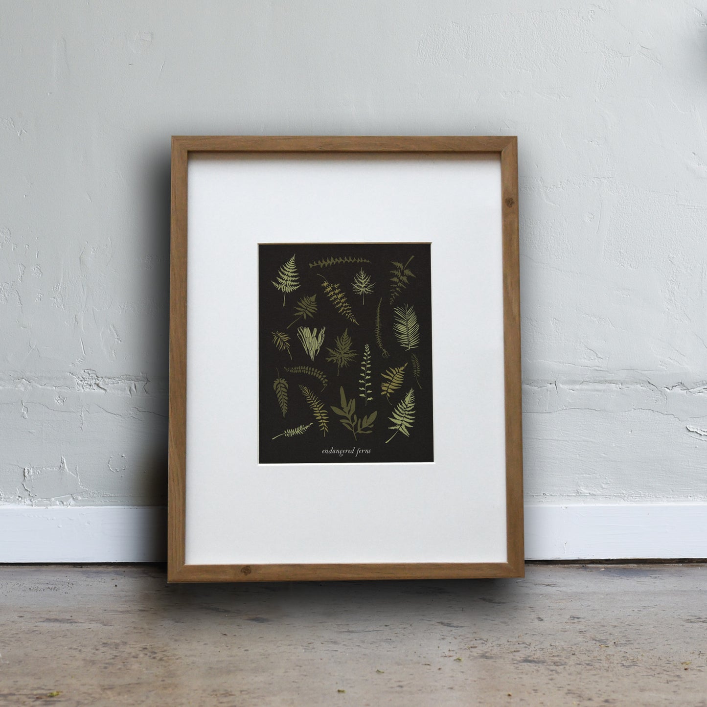 Nature inspired art print made from recycled paper, printed with out Endangered Ferns design. Designed by Katie Forte of June & December