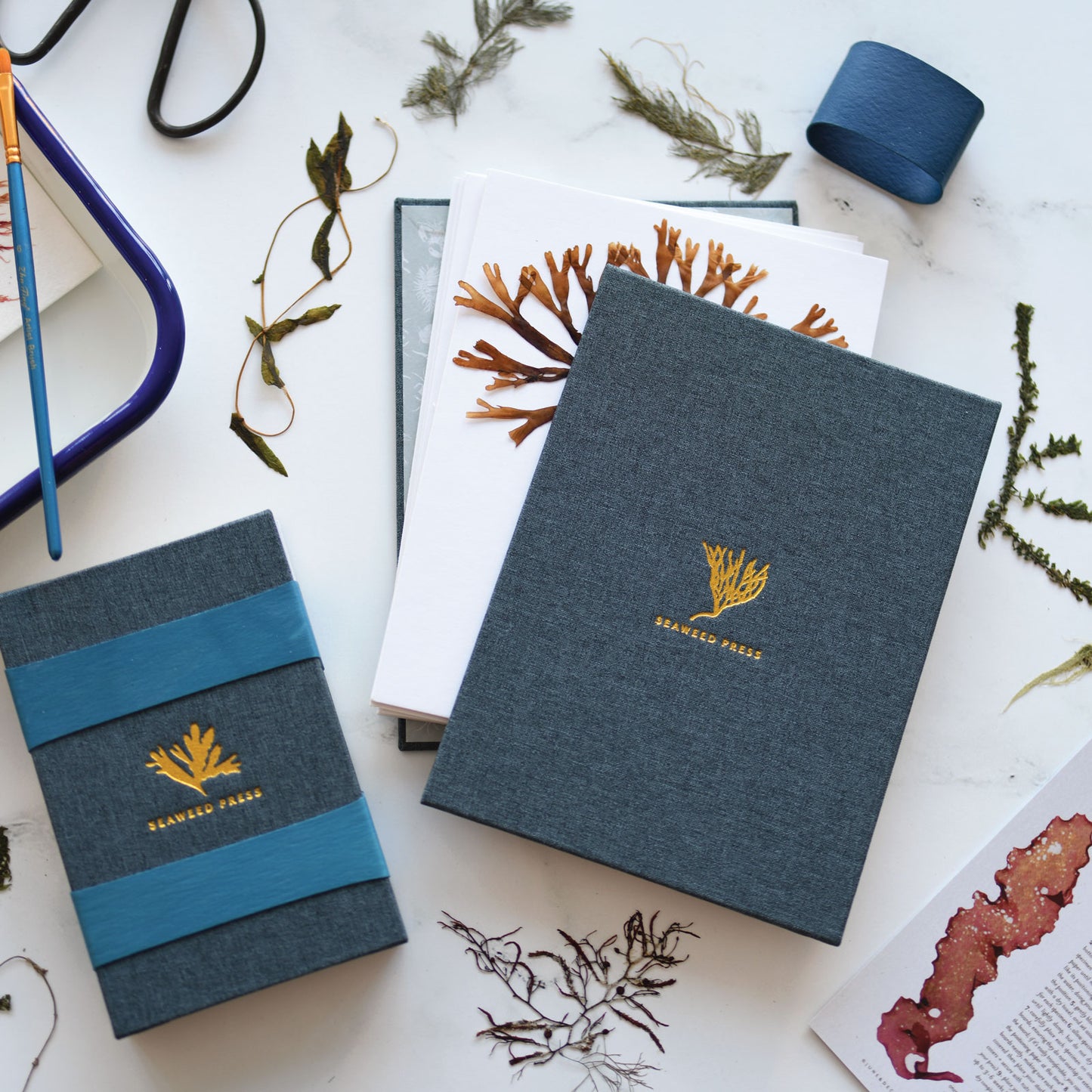 Field seaweed press opened to showcase use of pressing different ocean elements designed by katie forte of june & december