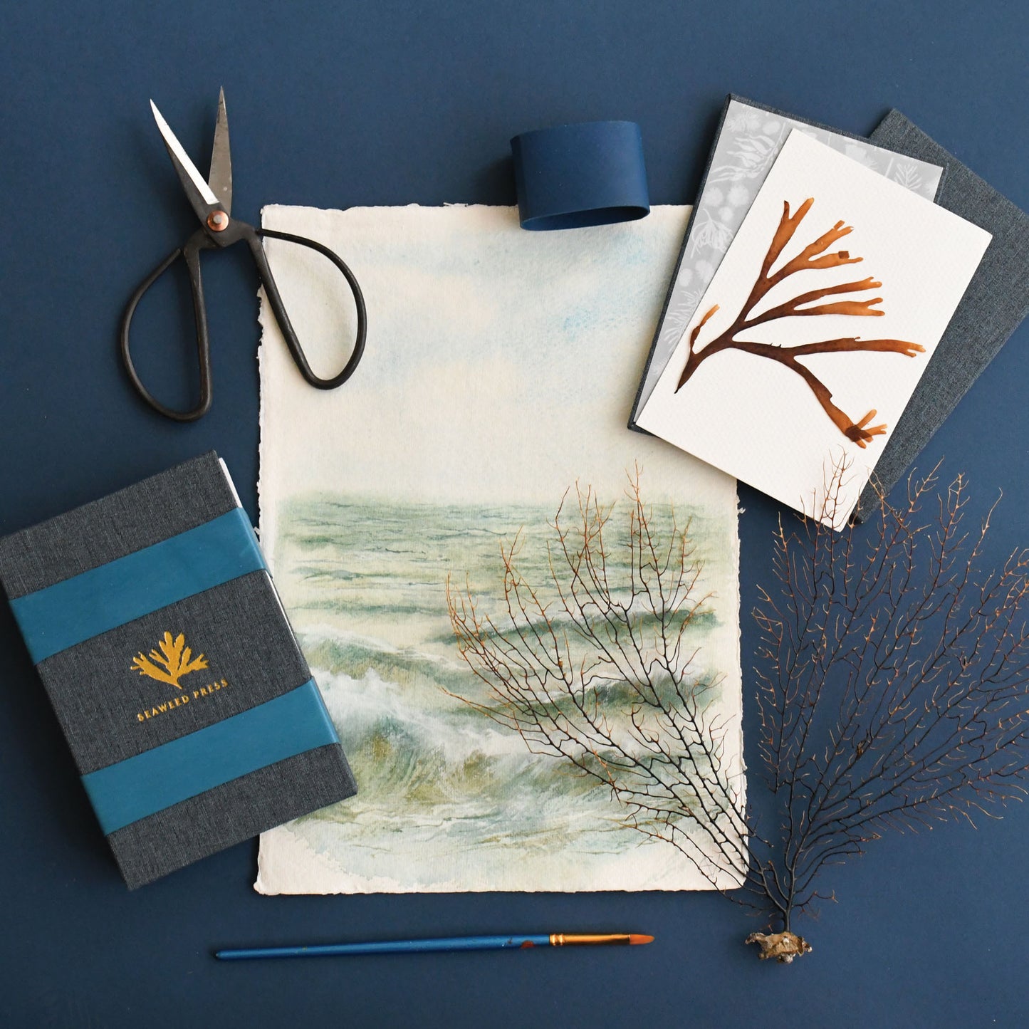 Pocket Seaweed Press expanded to showcase the use of capturing your favorite ocean elements designed by katie forte of june & december