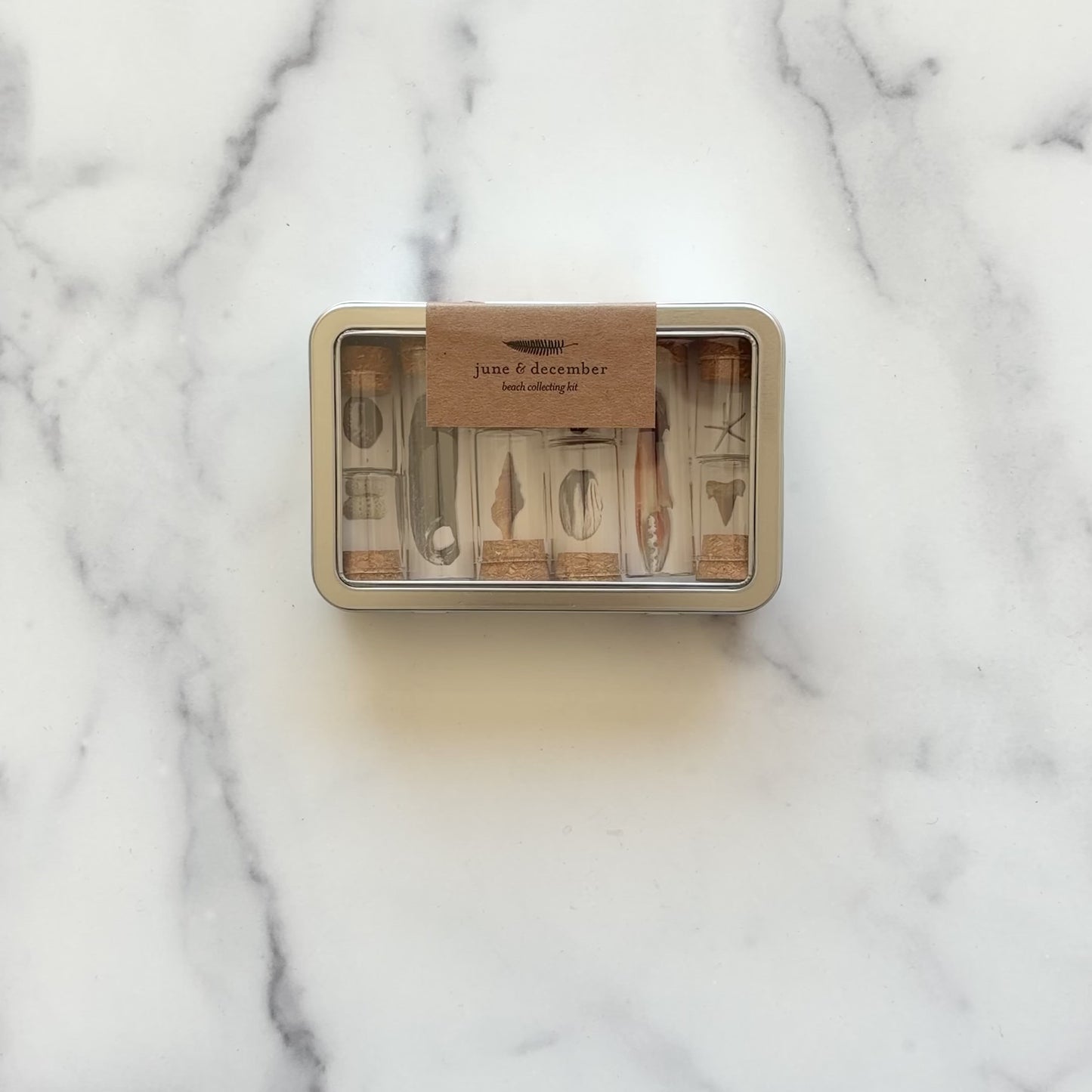Load and play video in Gallery viewer, Short video showcasing what is featured in our Beach Collecting Kit, such as jars, specimen labels, and forceps, designed by Katie Forte of June &amp;amp; December 
