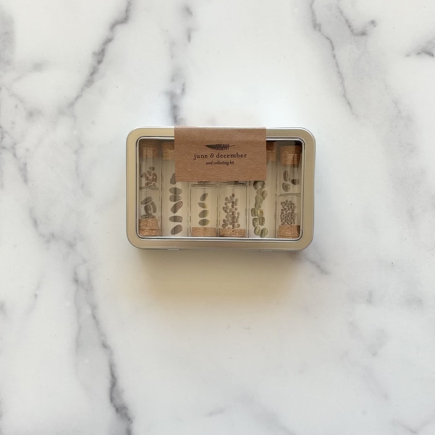 Load and play video in Gallery viewer, Short video detailing what comes with our Seed Collecting Kit, such as jars, stickers, and forceps, designed by Katie Forte of June &amp;amp; December
