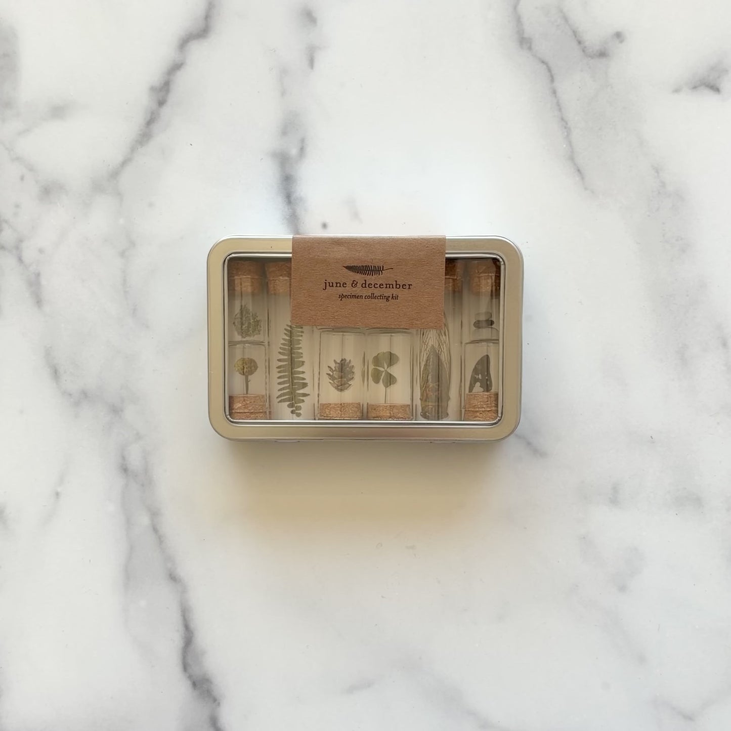 Load and play video in Gallery viewer, Short video featuring our Specimen Collecting Kit and what it contains, such as jars, stickers, and forceps, designed by Katie Forte of June &amp;amp; December
