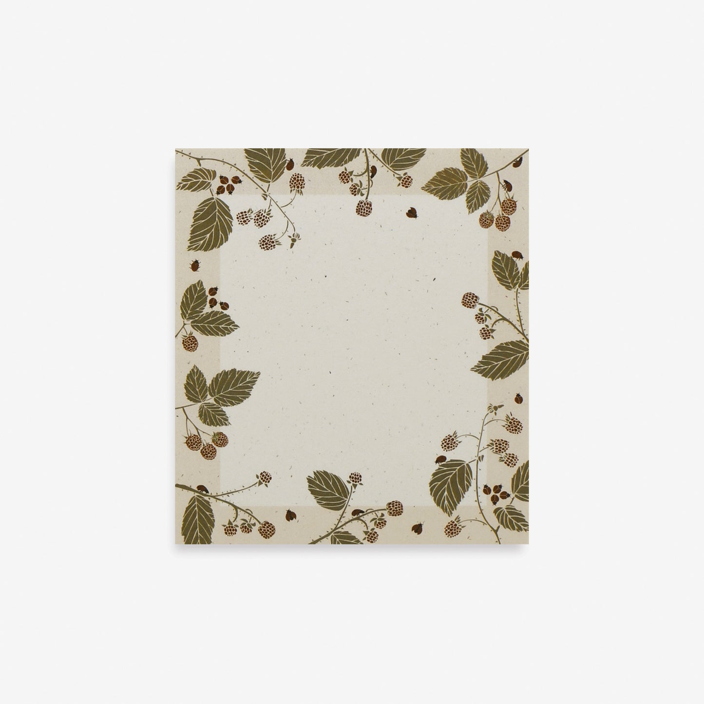 Recycled ladybugs + bird to-do non sticky mini notes with botanical illustration by June & December artist Katie Forte