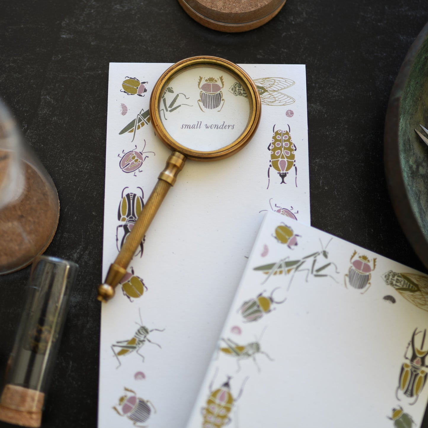 Recycled small wonders bug + insect design to-do notepad and market list with botanical illustration by June & December artist Katie Forte