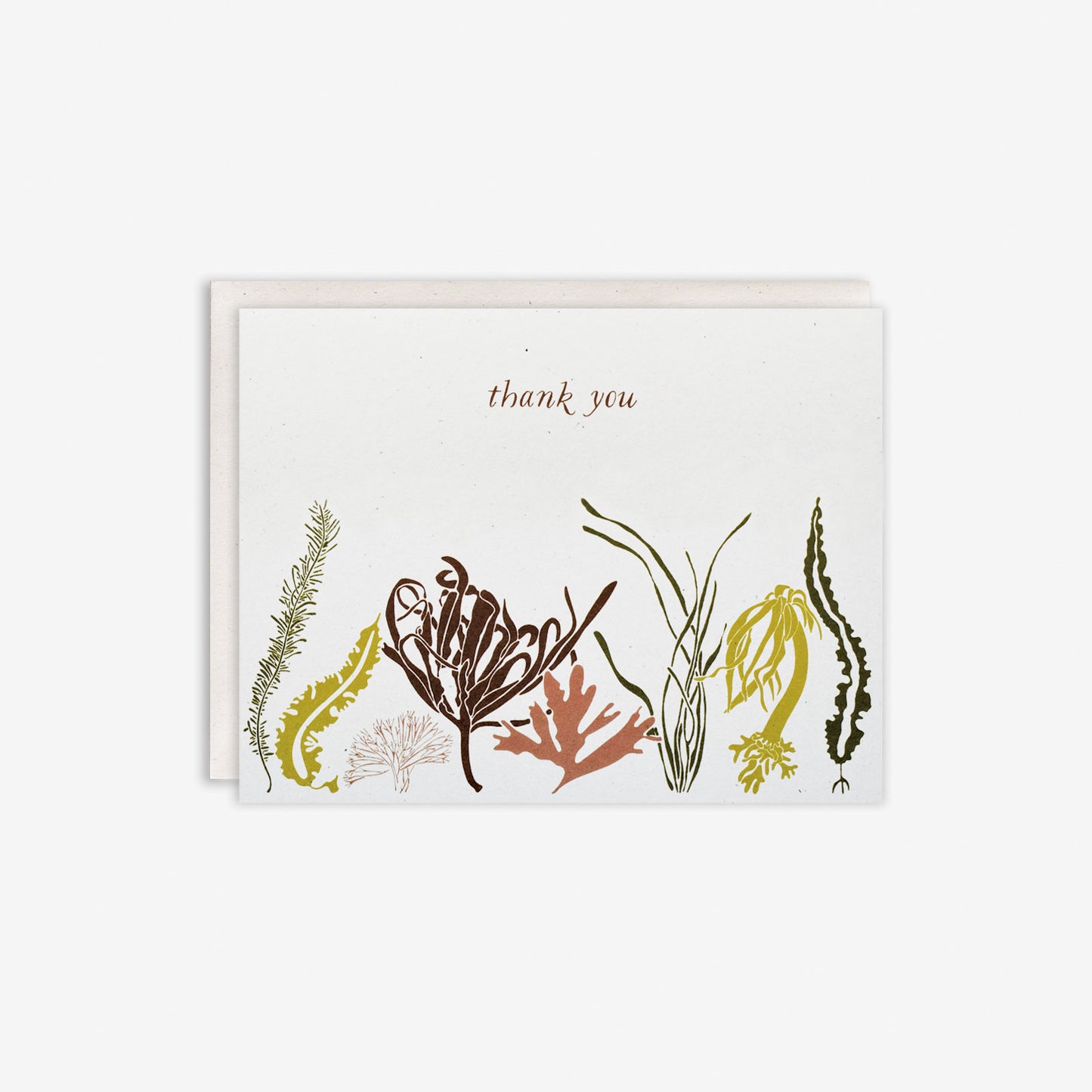 Load image into Gallery viewer, Sea Wilds Thank You Card
