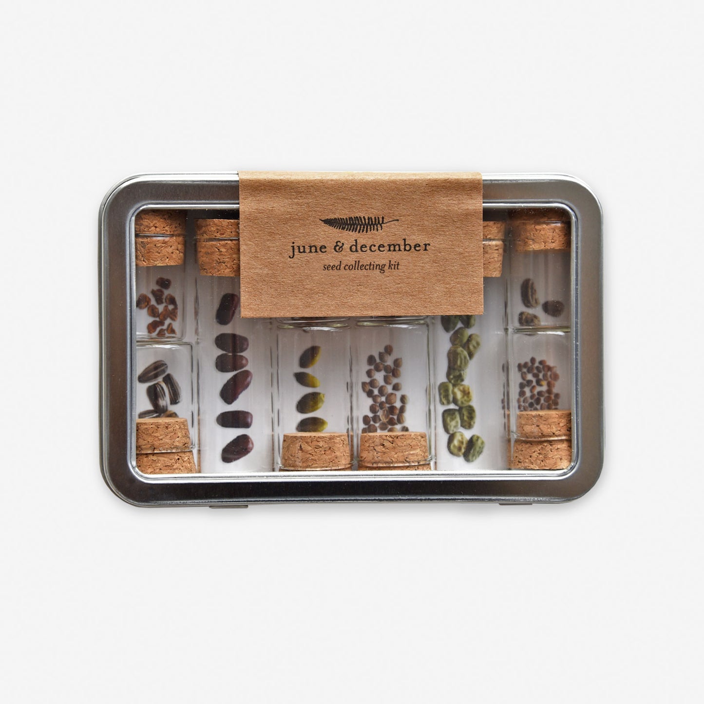 collecting and storing seeds from your garden Seed Collecting Kit