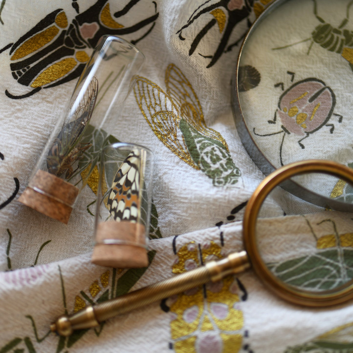 Kitchen tea towel made with eco-friendly flour sack in the usa featuring natural bug + insect small wonders artwork by june & december artist katie forte