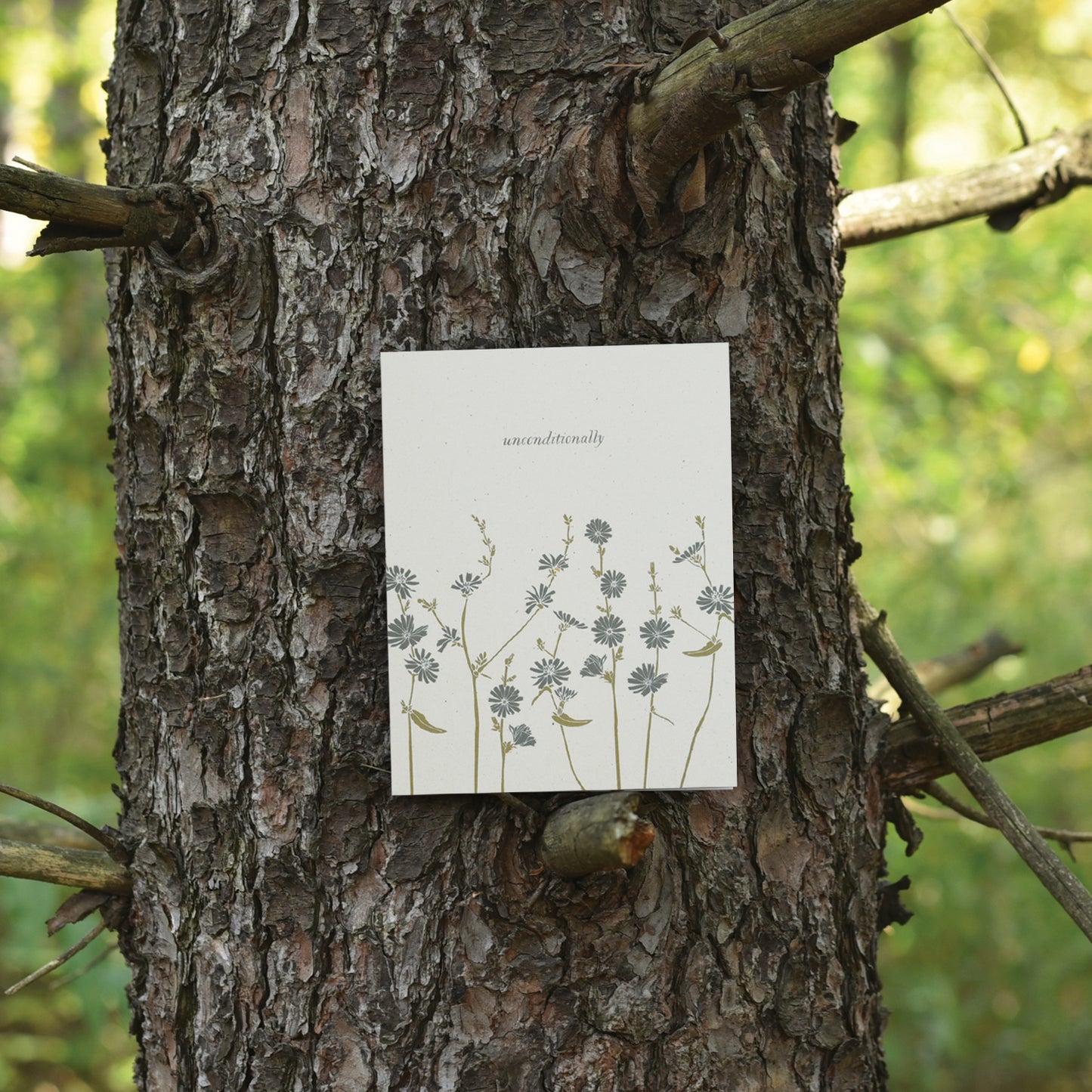 Sustainable greeting card for someone you love or support Unconditionally, designed by katie forte of june & december