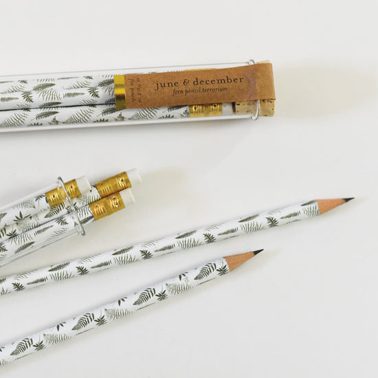 Fern Terrarium Pencils with Botanical Propagation Test Tubes