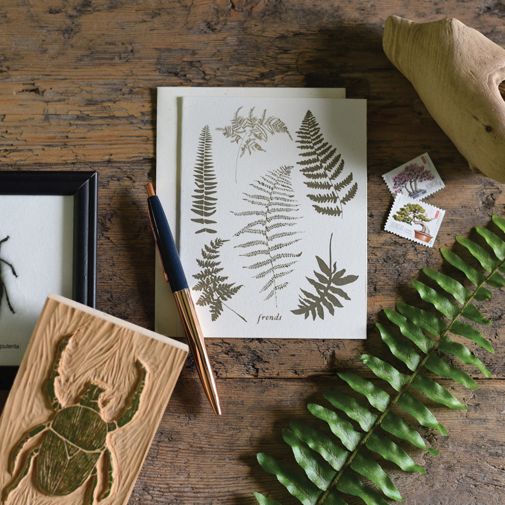 Natural Fronds Fern Wild Pretties Boxed Everyday Stationery Cards