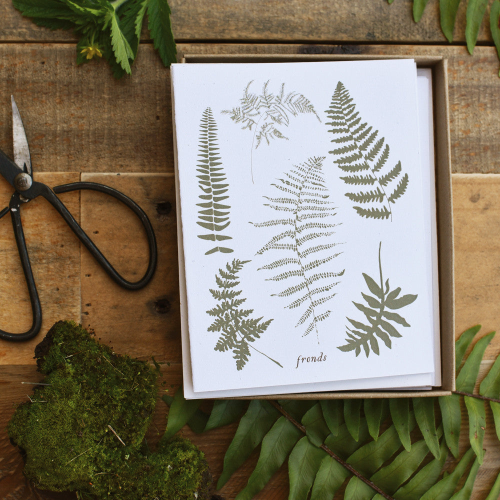 Fronds Fern Wild Pretties Boxed Everyday Note Card Stationery Set