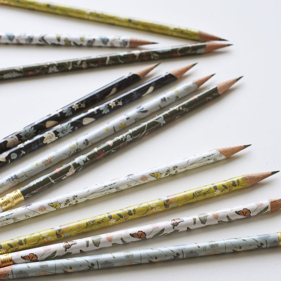 Hummingbird Pencil Terrarium