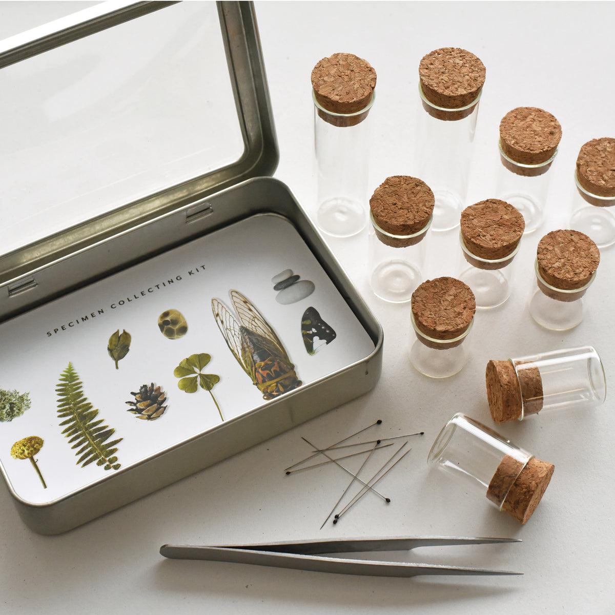 Insect Collection Kit Supllies Specimen Collecting Kit | Bug, Rock, Nature, and Forest Kit – June ...