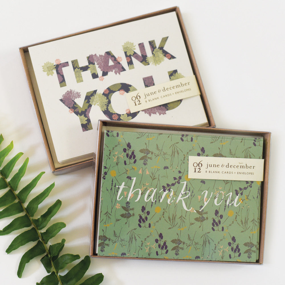 Succulent Thank you Boxed Card Set by June & December