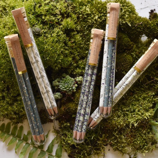 Load image into Gallery viewer, Wildflower Terrarium Pencils with Propagation Test Tubes
