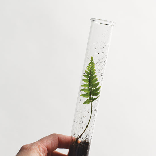 Load image into Gallery viewer, Wood Pencil Terrarium
