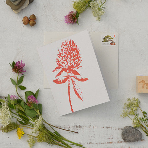 Load image into Gallery viewer, Wild Red Clover Stationery Card Box Set Blank Thank You Note Cards
