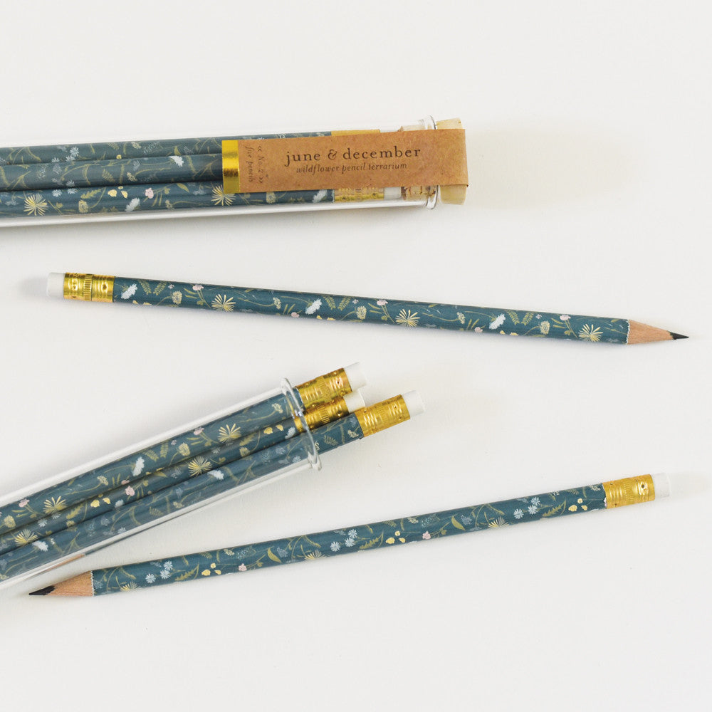 Wildflower Terrarium Pencils with Botanical Propagation Test Tubes