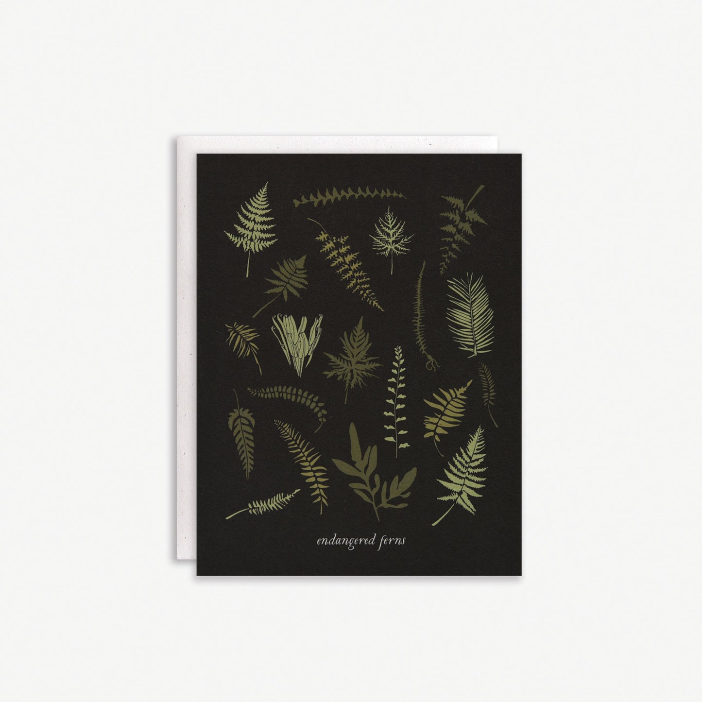 Load image into Gallery viewer, Endangered Ferns Boxed Set
