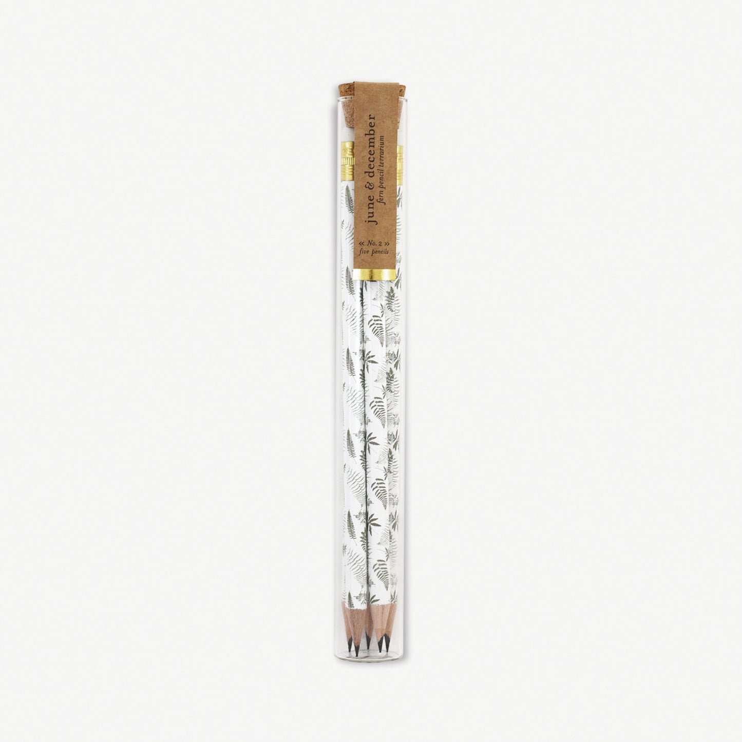 Fern Pencil Terrarium : Set of 5 Pencils