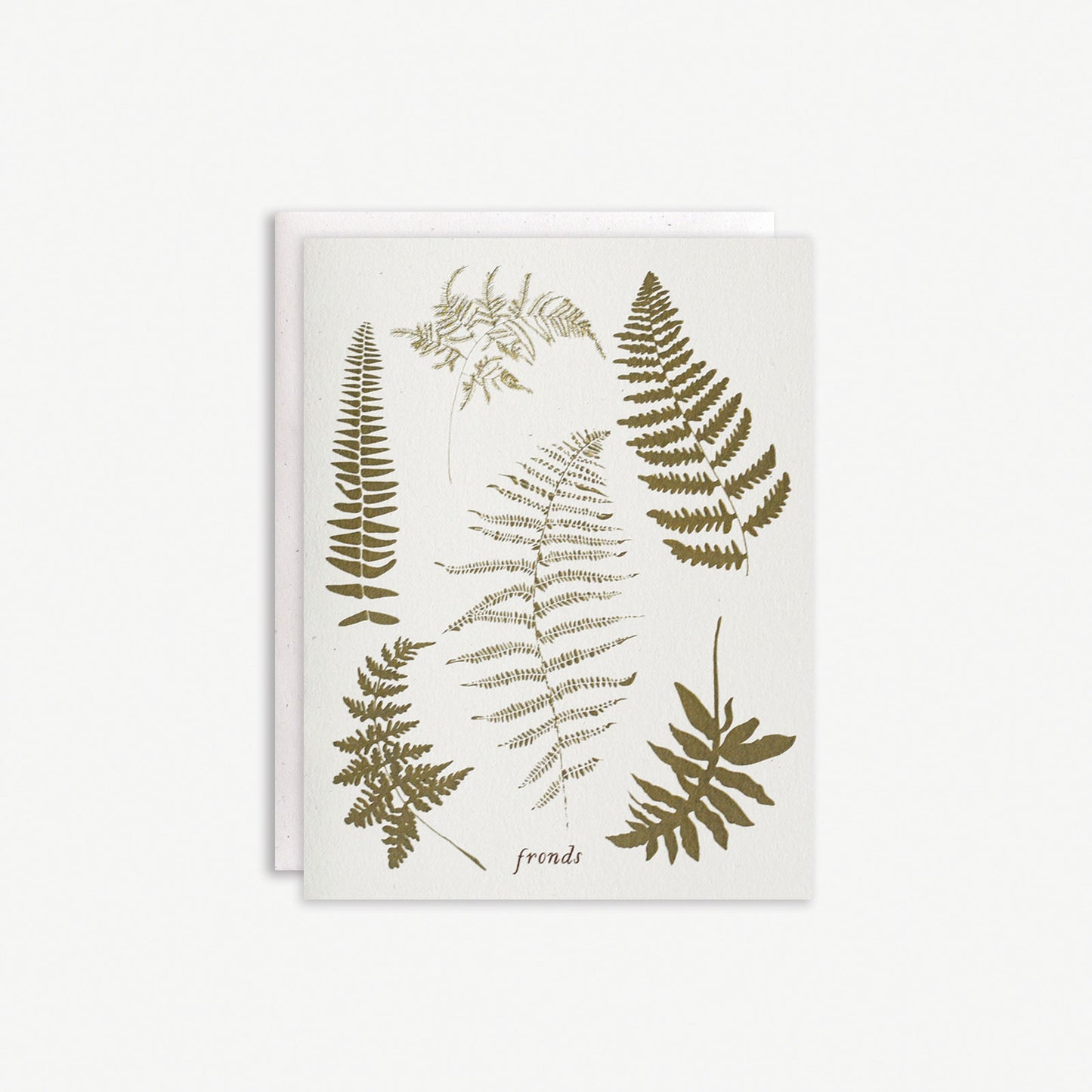 Fronds Boxed Set