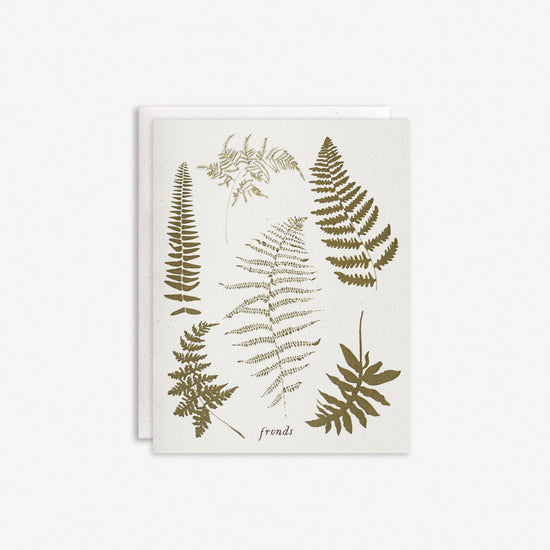 Fronds Boxed Set