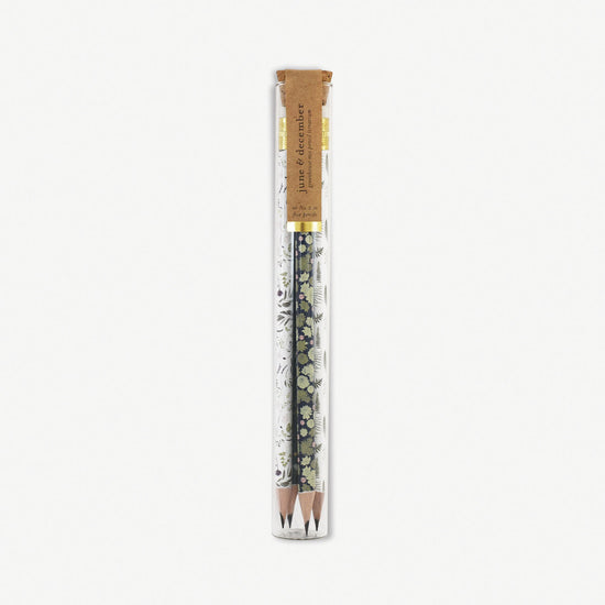 Greenhouse Mix Pencil Terrarium : Set of 5 Pencils