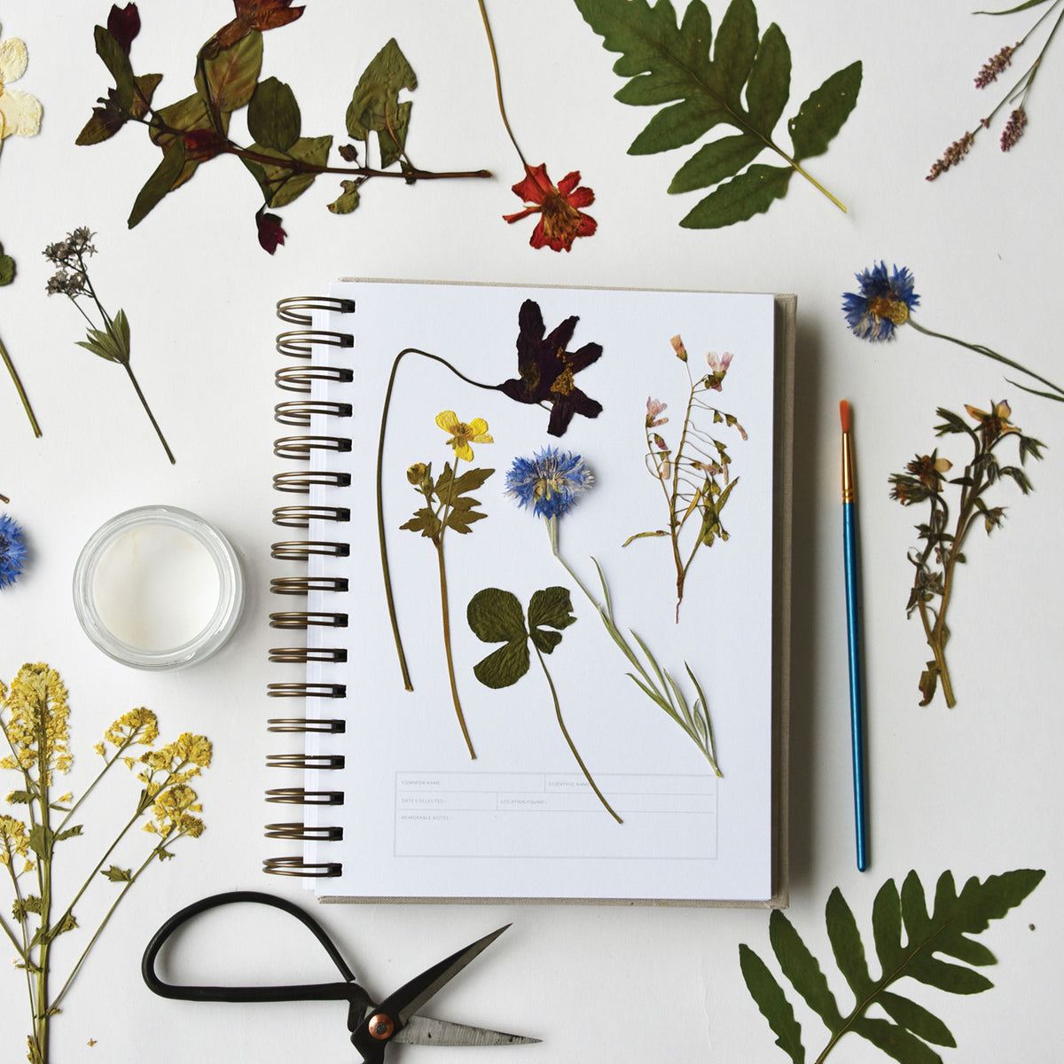 Cream Herbarium Journal | Recycled Pressed Floral Journal – June & December