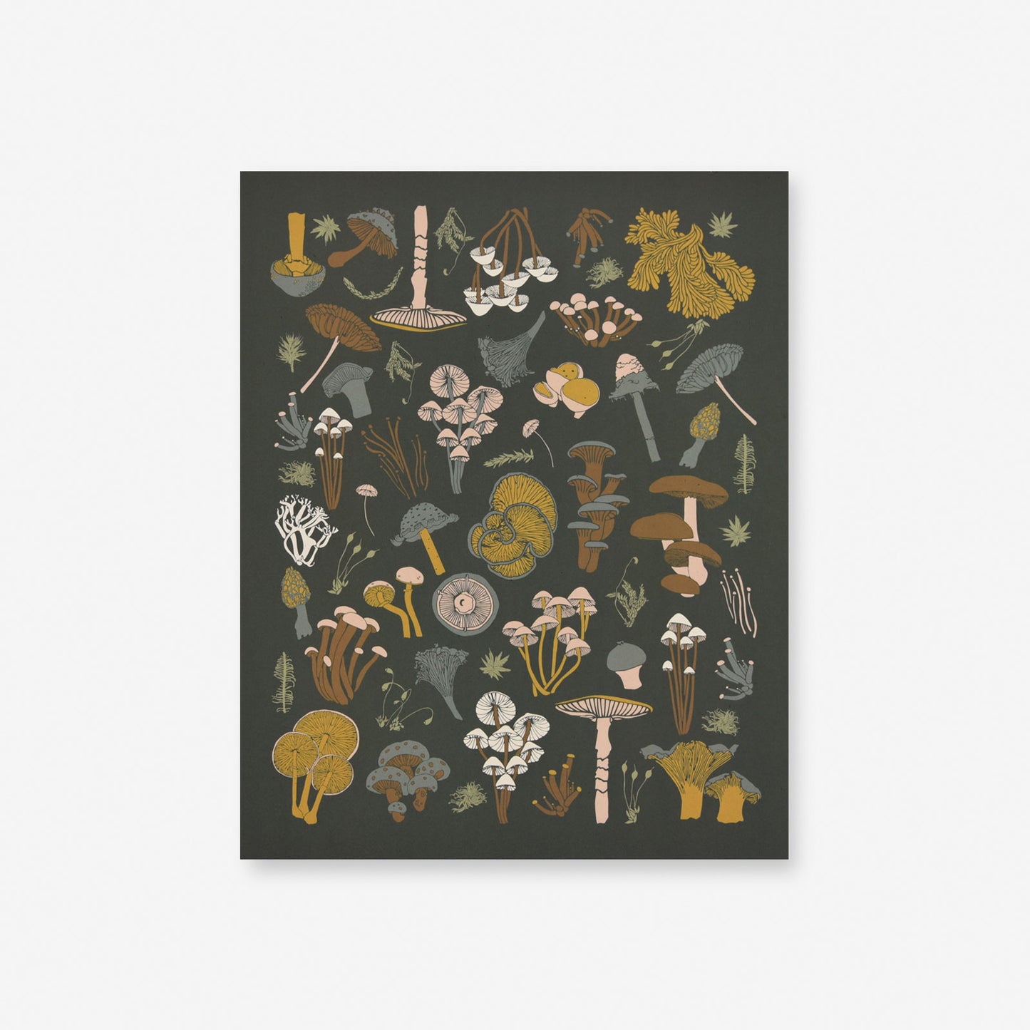 Load image into Gallery viewer, Mosses + Mushrooms Art Print
