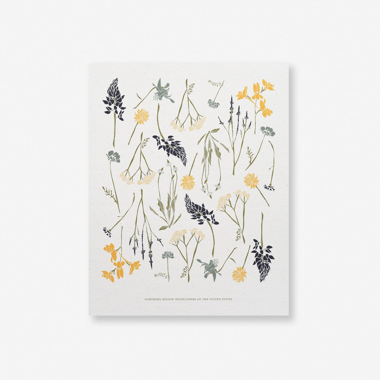 Load image into Gallery viewer, Northern Wildflowers Art Print
