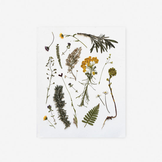 Load image into Gallery viewer, Pressed Olive Grove Pretties Art Print
