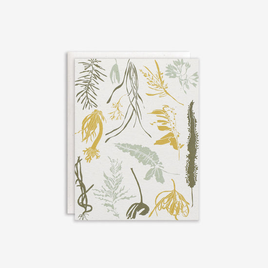 Load image into Gallery viewer, Pacific Seaweeds Card
